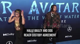NEWS OF THE WEEK: Halle Bailey and DDG reach custody agreement
