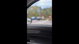 Dog Smells Meat Nearby