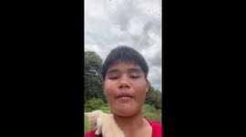 Four rescued kittens cling to boy who saved them