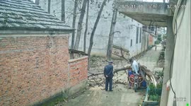 Decaying tree suddenly collapses and falls just inches away from woman parked in tricycle below