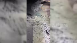 Lebanon: Israeli Drone Hits Bulldozer In Southern Lebanon