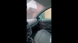 Swarm of mosquitoes invades car in Brazil after driver left window open oevernight