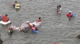Anglers catch 200kg catfish at mass fishing session in Thailand