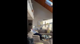 Cheeky dog drops squeaky ball on grandpa's head to demand playtime