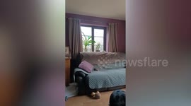 Man wins £65k battle to stop neighbours building new home metres from his house