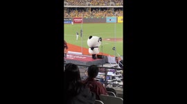 Baseball mascot adorably hops down stairs as its short legs struggle to keep up
