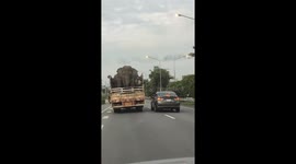 Passenger leans from car window to give bananas to elephants on truck