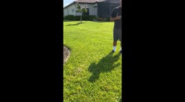 Boss Defends His Crew From Angry Homeowner