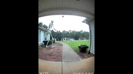 Ground Breaker Skeleton Falls Off Roof