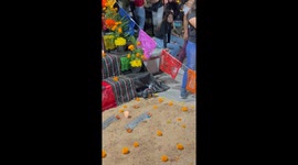 Puppy steals the show at Día de los Muertos celebration in San Vicente, Mexico
