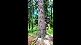 A John Deere 1270G harvester with a Waratah H415 head expertly fells a large spruce tree on a steep mountain terrain