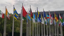 UAE: UAE firms target deeper foray into Chinese market at 8th CIIE