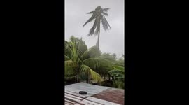 Philippines: Typhoon Kalmaegi Lashes Central Regions With Strong Winds and Heavy Rain 3