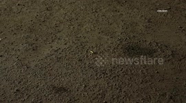 US, Los Angeles: Northridge Argument Escalates Into Shooting Outside Laundromat