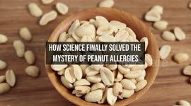 How Science Finally Solved The Mystery Of Peanut Allergies