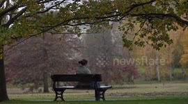 Autumn paints London in shades of yellow and brown