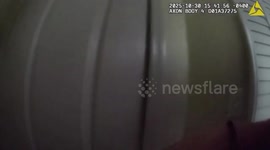 Stolen puppy reunited with owner following armed burglary in Florida