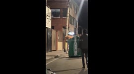 Rescuing a Giant Teddy Bear From the Garbage