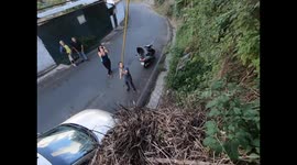 Sloth Rescued From Power Lines
