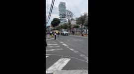 Runaway Dog Stops Traffic