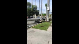 Big Palm Tree Fell on Empty Car