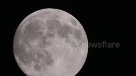 Almost full Beaver Supermoon seen rising in Kent, UK