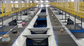 China: China's courier industry hits new milestone in parcel processing
