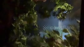 Philippines: Philippine death toll from devastating Typhoon Kalmaegi climbs to 66