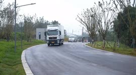 China: New giant panda base starts trial operation in Sichuan