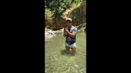 Miniature Pinscher takes a determined swim in Tena, Ecuador