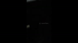 Cat angrily meows at owner for not opening gate in Guizhou, China