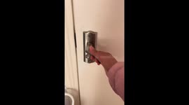 Pet parrot causes mess in Beijing, China