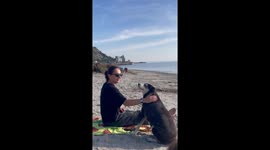 Woman plays with dogs in Pristina, Kosovo