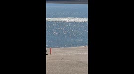 Power Plant Back Flushed a Cooling Water Pipe at Enid Lake