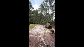 Man Throws Axes At Suspended Log