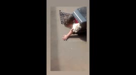 Boy and Dog Stuck in a Dog Crate