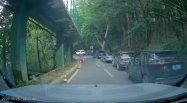 Car reverses out of control and crashes into parked vehicle