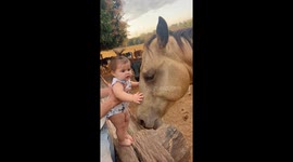 Baby Loves Horse