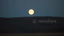 Beaver Moon lights up skies over Hungary's Abaujvar