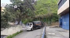 Sloth Rescue From Powerlines