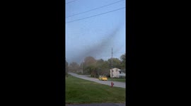 Midges Swarm North Madison, Ohio