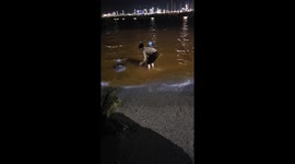 Grandson Freaked Out by Blue Sea Sparkle