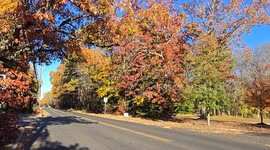 Beautiful foliage from New Jersey.