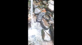 the water is cool and very clear