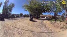 US: Emu On The Loose Sparks Police Chase Through Cottonwood