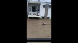 Typhoon Kalmaegi forces family to escape flooded home by climbing onto roof with baby