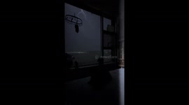 Cat calmly watches lightning through window in Jiangxi, China