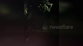 Typhoon Kalmaegi batters the Philippines with wind and rain