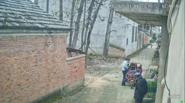 Woman ducks just in time as tree falls on her motorised trike