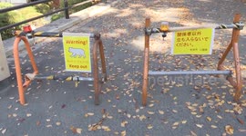 Japan: 4 people dead in bear attacks in Japan's Akita this year